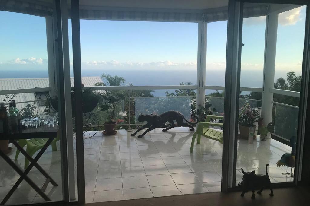 St Leu -Villa D'Artiste, Superbe Vue Mer, Piscine Chauffee Saint-Leu Eksteriør bilde